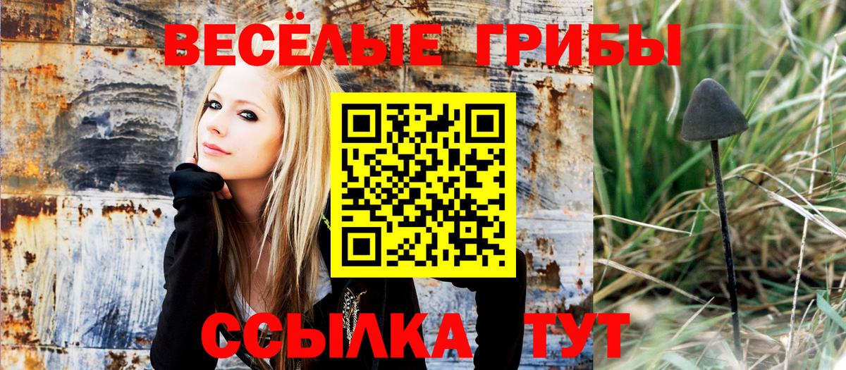 Минеральные Воды  купить закладку  Галлюциногенные грибы MAGIC MUSHROOMS  Вход с VPN  Галлюциногенные грибы Magic Shrooms 