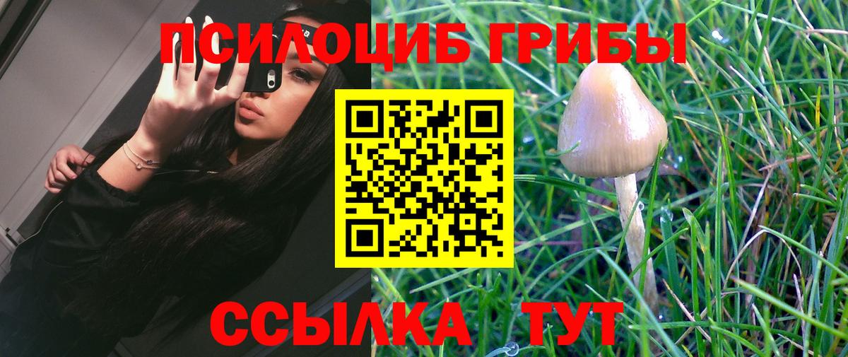 Псилоцибиновые грибы MAGIC MUSHROOMS Минеральные Воды